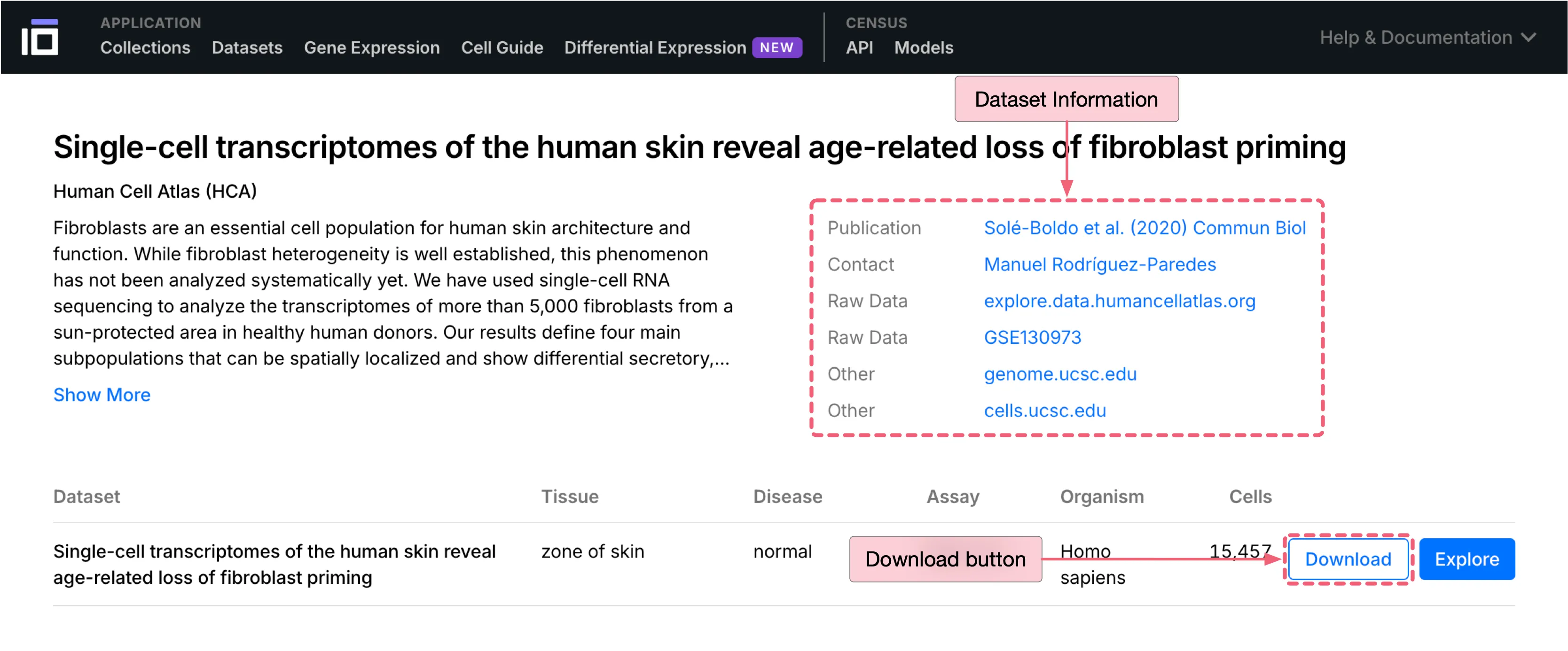CELLxGENE Dataset Information CELLxGENE Dataset Information
